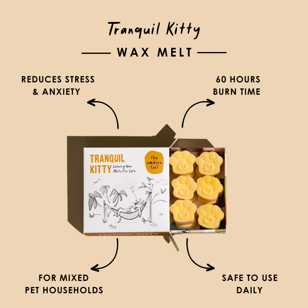 Are wax melts safe for cats? Our top four precautions explained